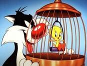 pic for Tweety & Sylvester Cat